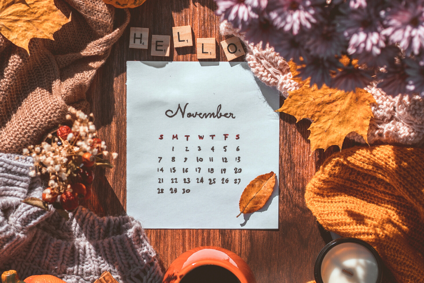 13 Fun November Events in the Ann Arbor Area 2022